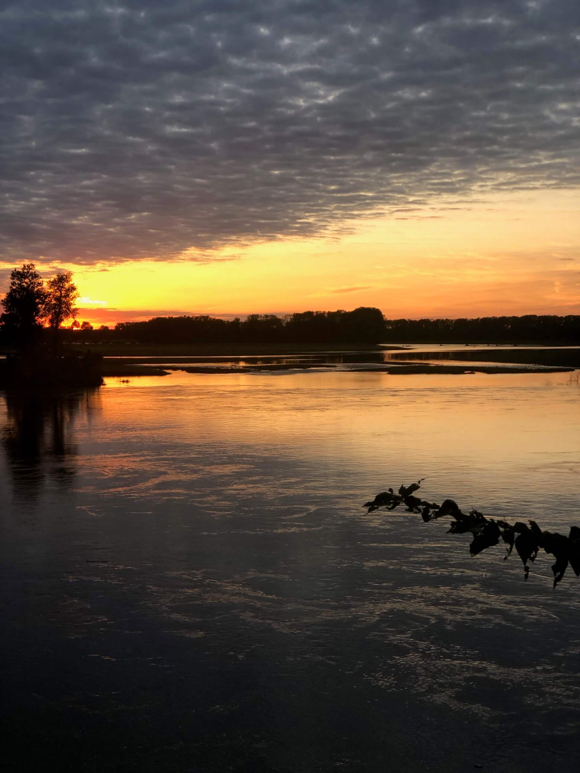 Home Visit Glasgow MO